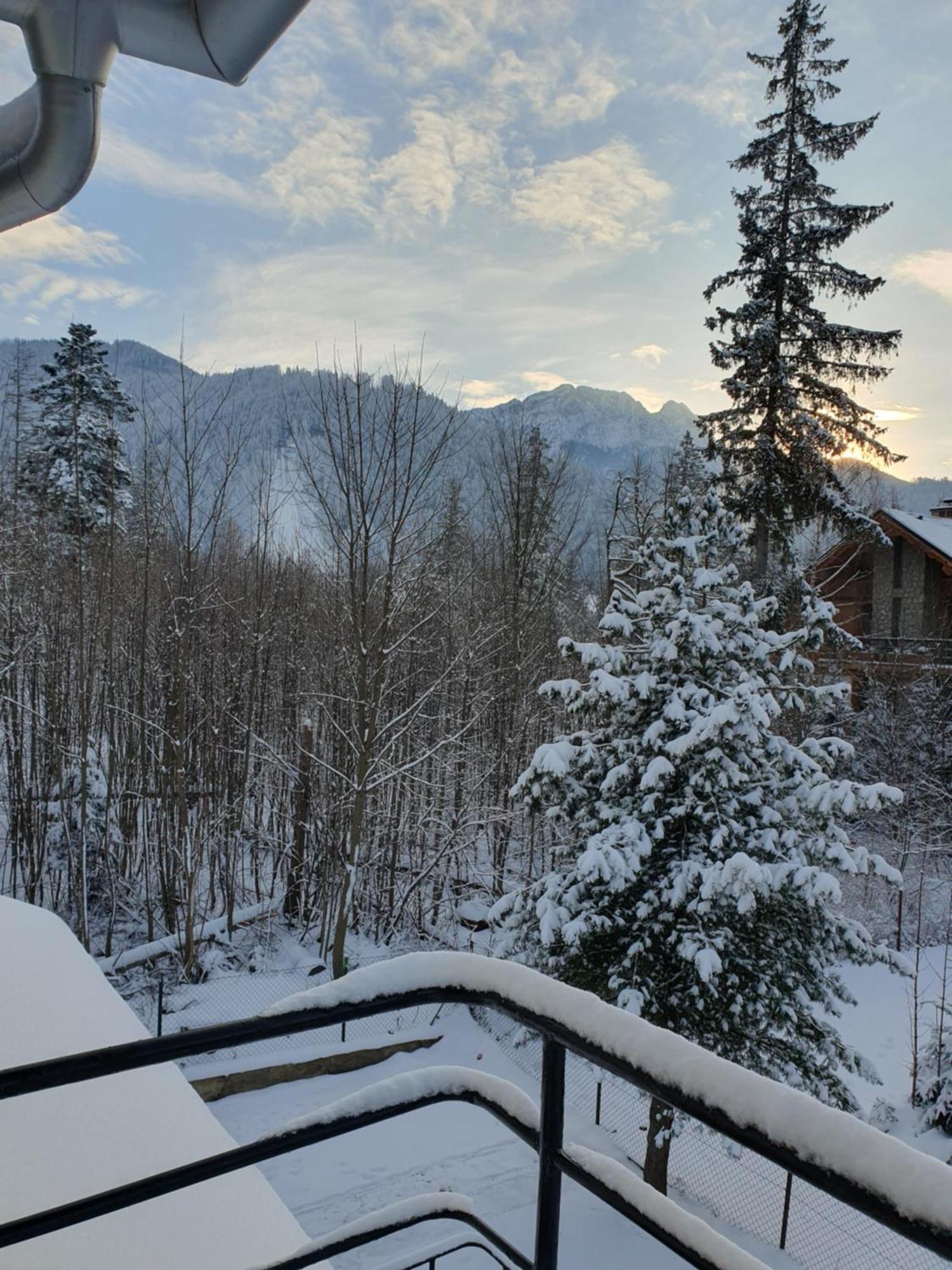 Apartamento Asteria Zakopane Exterior foto