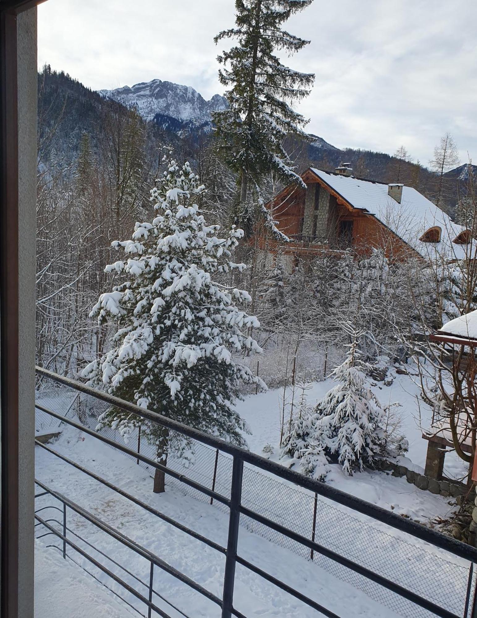 Apartamento Asteria Zakopane Habitación foto