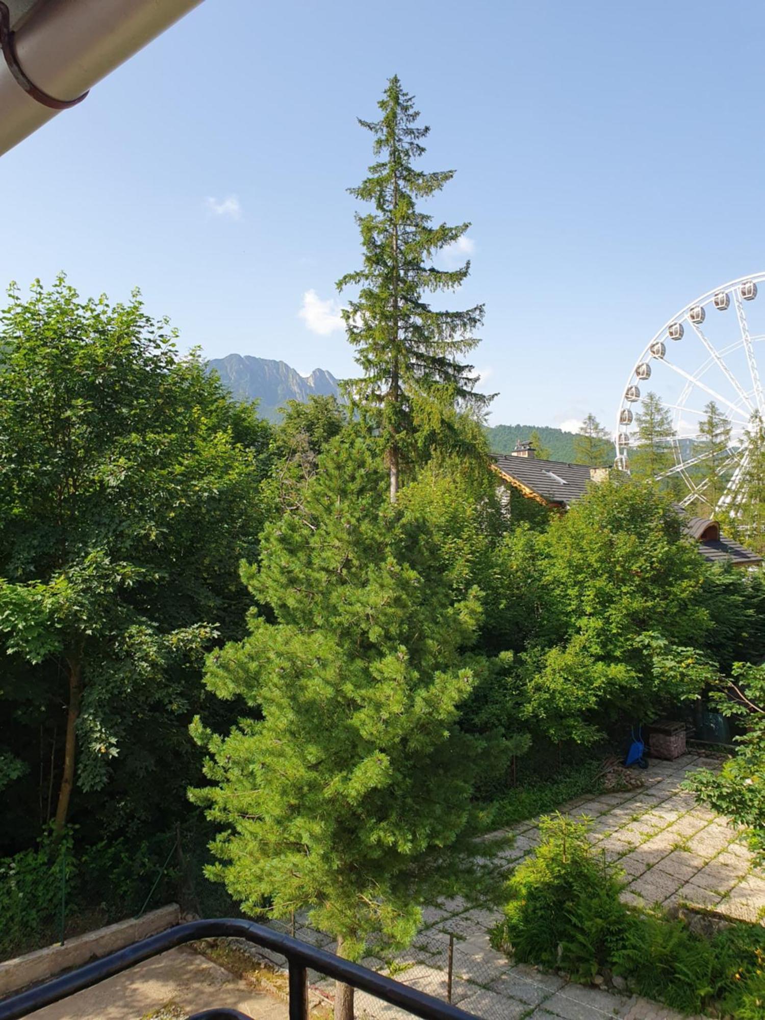 Apartamento Asteria Zakopane Habitación foto